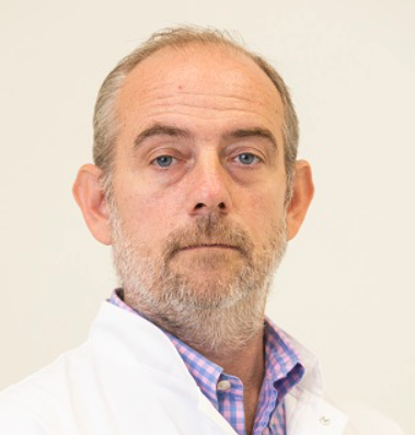 Vojislav Giga