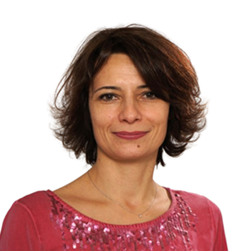 Prof. dr Zoran Protrka